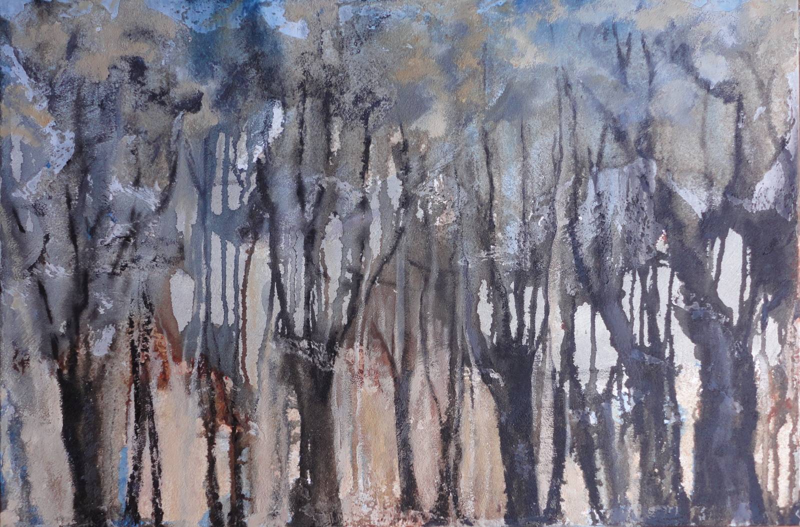 Bosque1