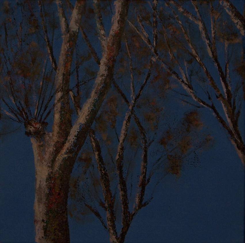 Mirandoalcielo1